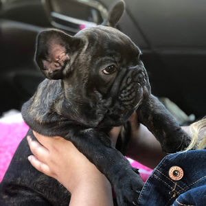 Meet your Posher, Edward